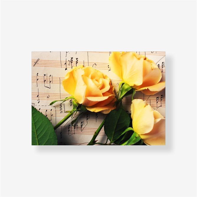Музыка желтых роз